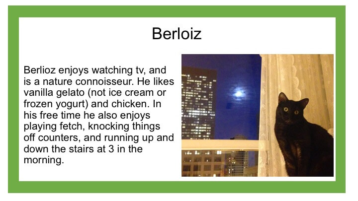 Description of black cat named Berloiz