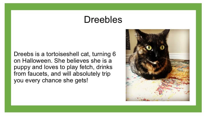 Description of black cat named Dreebles