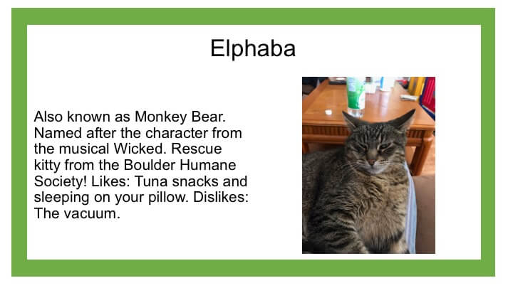 Description of brown cat named Elphaba