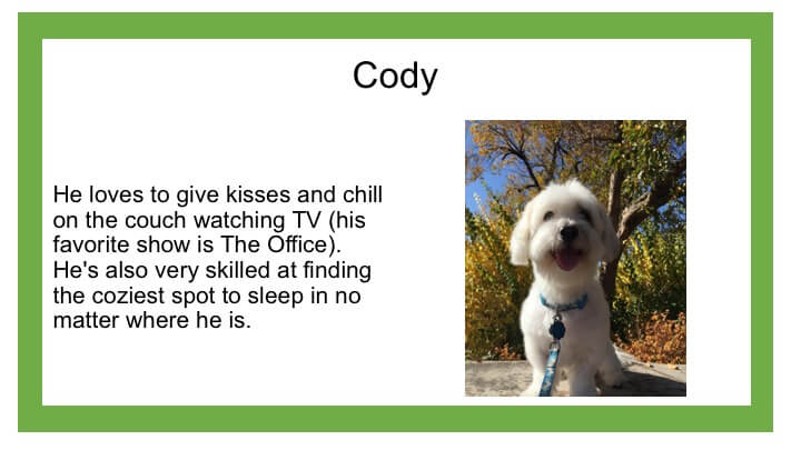 Description of white dog named Cody