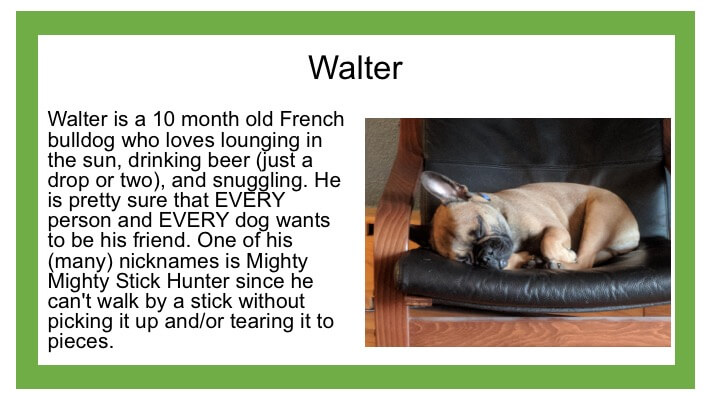 Description of brown dog named Walter