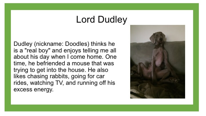 Description of black dog named Lord Dudley