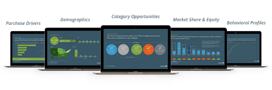 Purchase drivers, demographics, category opportunities, market share & equity, and behavioral profiles.